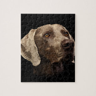 Weimaraner Portrait Legpuzzel