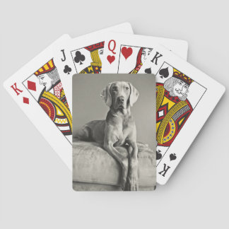 Weimaraner Portrait Pokerkaarten