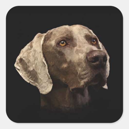 Weimaraner Portrait Vierkante Sticker (Voorkant)