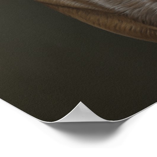 Weimaraner Poster (Hoek)