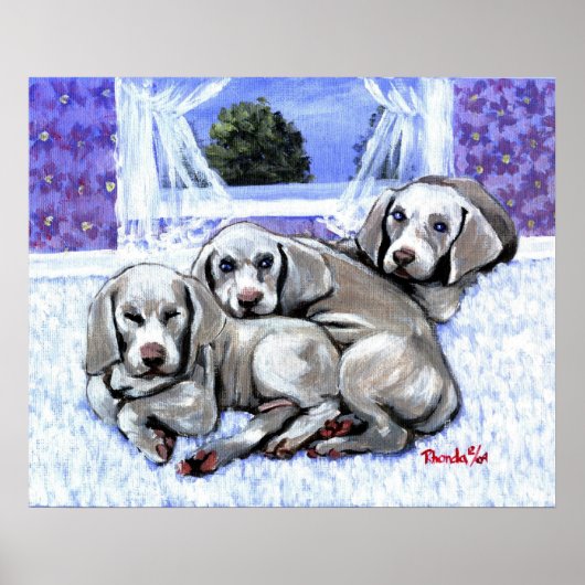 Weimaraner Puppies Dog Portrait Poster (Voorkant)