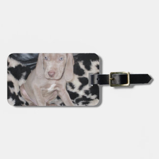 Weimaraner Puppy Bagagelabel