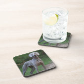 Weimaraner Puppy Dog Bier Onderzetter (Rechterzijde)