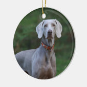 Weimaraner Puppy Dog Keramisch Ornament (Links)
