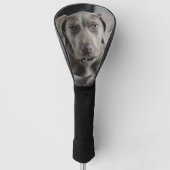 weimaraner-puppy golfheadcover (Voorkant)