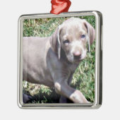 "WEIMARANER PUPPY" KERSTVERSIERING METALEN ORNAMENT (Links)