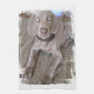 Weimaraner Puppy Kitchen Towel Theedoek