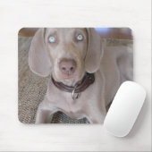 Weimaraner Puppy Muismat (Met muis)