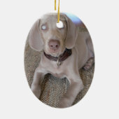 Weimaraner Puppy Ornament (Achterkant)