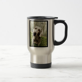Weimaraner Reisbeker