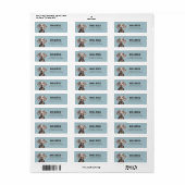 Weimaraner Return Address Labels (Full Sheet)