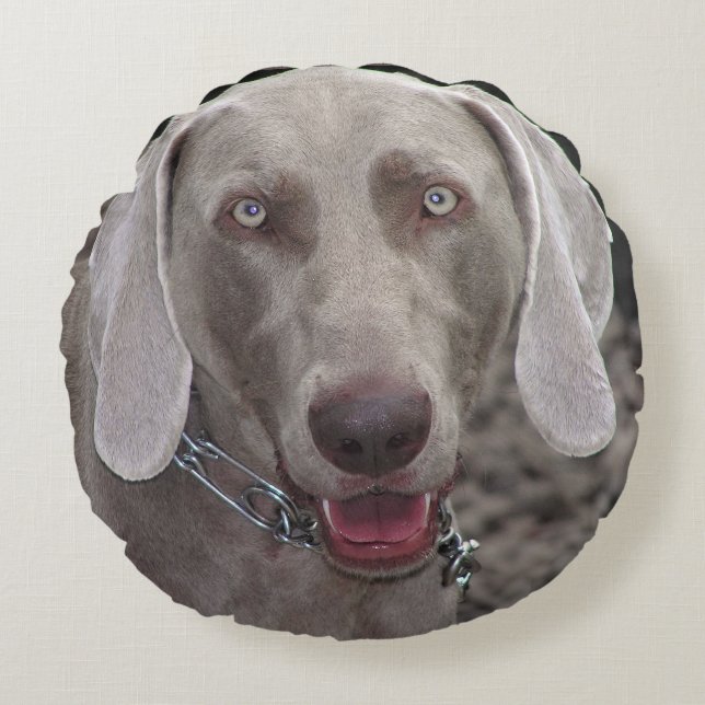 Weimaraner Rond Kussen (Voorkant)