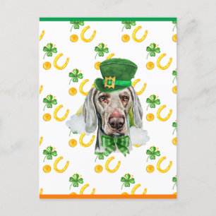 Weimaraner Shamrock St. Patricks Day Feestdagenkaart