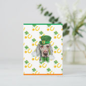 Weimaraner Shamrock St. Patricks Day Feestdagenkaart (Staand voorkant)