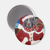 Weimaraner Sinterklaas Magneet (Voorkant / Achterkant)