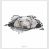 Weimaraner stickers Weimaraner sticker