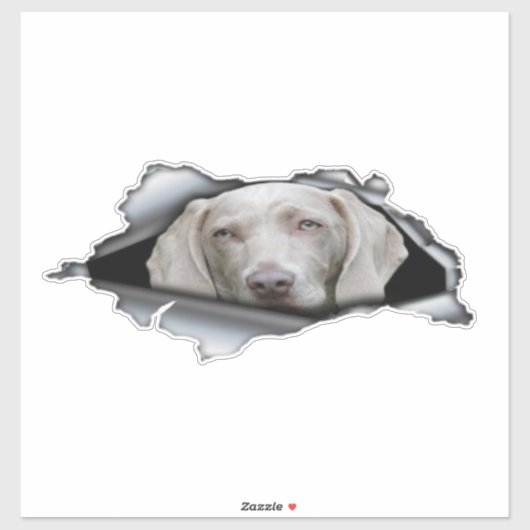 Weimaraner stickers Weimaraner sticker (Vel)