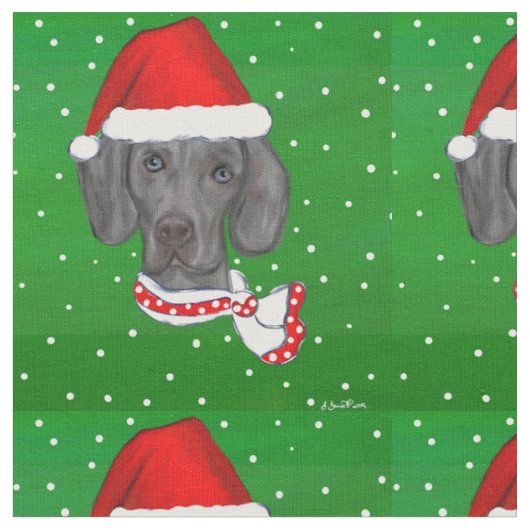 WEIMARANER STOF (Close Up)