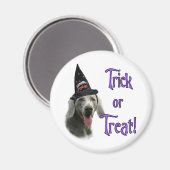 Weimaraner Trick Magneet (Voorkant / Achterkant)
