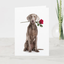 Weimaraner Valentijn Kaart