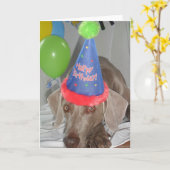 Weimaraner Verjaardag Groeten Kaart (Gele Bloem)