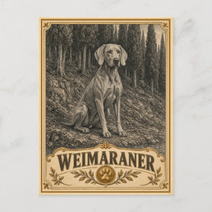 Weimaraner, Vintage Heritage Hond Briefkaart