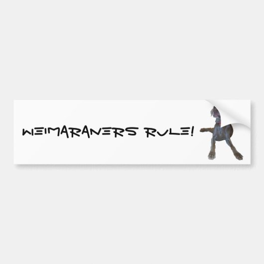 Weimaraners Rule! Bumpersticker (Voorkant)