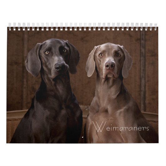 Weimarantiestelsel Kalender (Hoes)