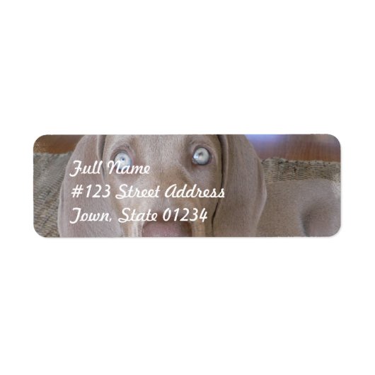 Weimeraner Dog Mailing Label (Voorkant)