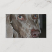 Weimeraner Dog Visitekaartje (Achterkant)