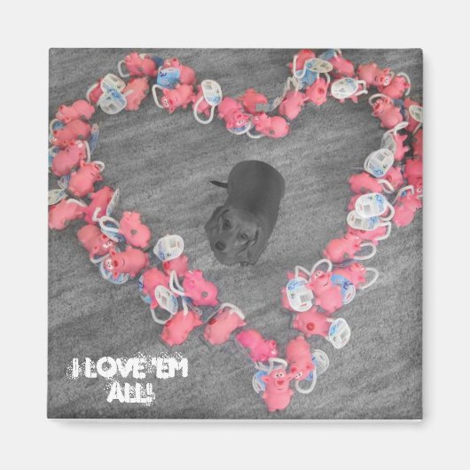 Weiner Chien Aimant Coeur (Devant)