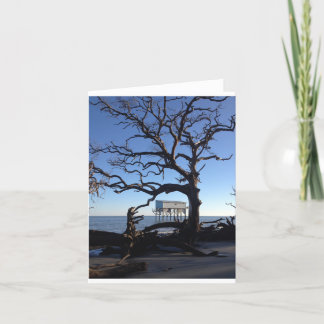 "weinig blauwe" notecard kaart