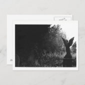 Weinig Briefkaart van de Begraafplaats van het (Voorkant / Achterkant)