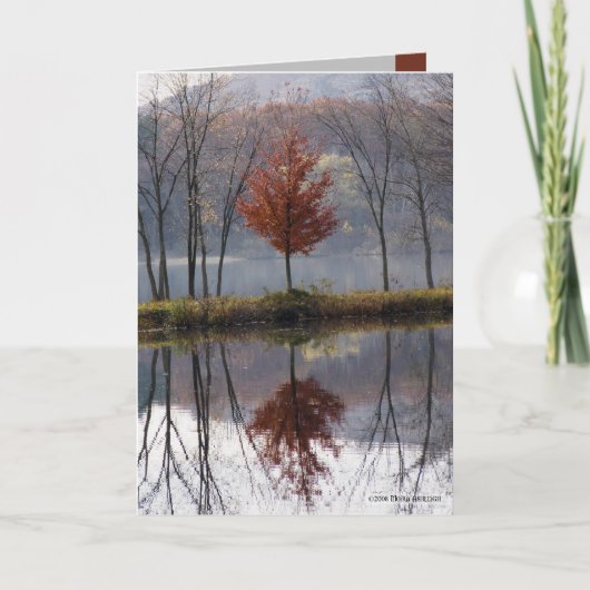 Weinig Gekleed Rood Kaart (Voorkant)