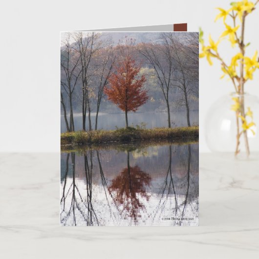 Weinig Gekleed Rood Kaart (Gele Bloem)