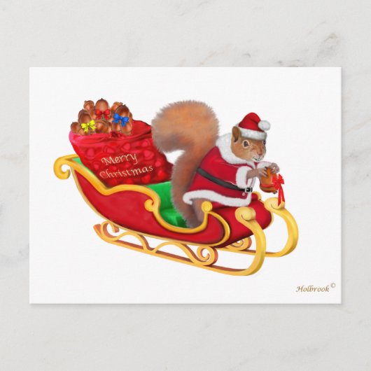 WEINIG HELPER VAN DE KERSTMAN FEESTDAGENKAART (Voorkant)