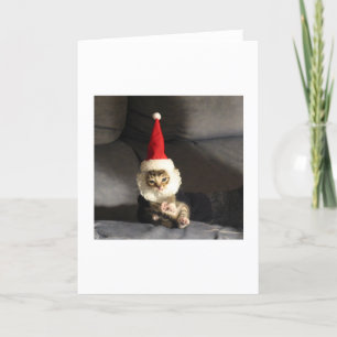 Weinig Kittie Feestdagen Kaart
