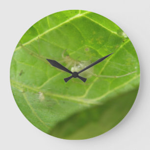 Weinig Klok van de Muur van de Spin