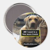 Weinig meer behandelingen magneet (Voorkant / Achterkant)