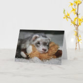 Weinig Wenskaart van de Stuiver Dooks Kaart (Gele Bloem)