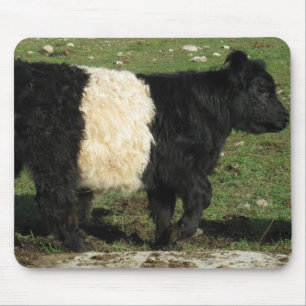 Weinig Zwart Kalf Beltie Muismat
