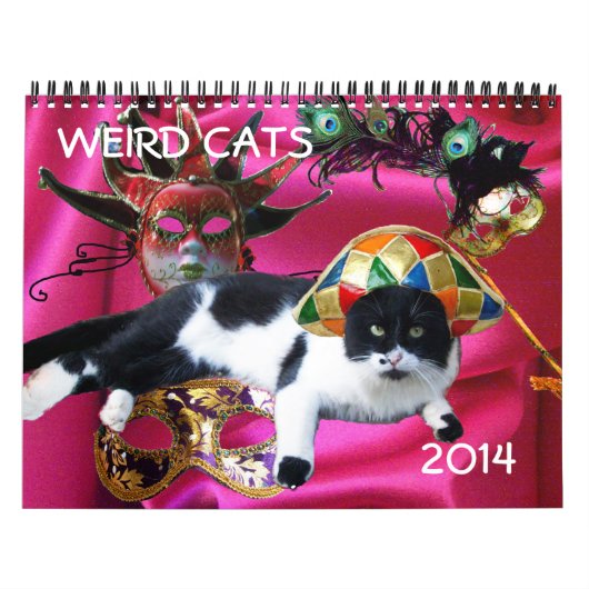 WEIRD CATS 2014 KALENDER (Hoes)