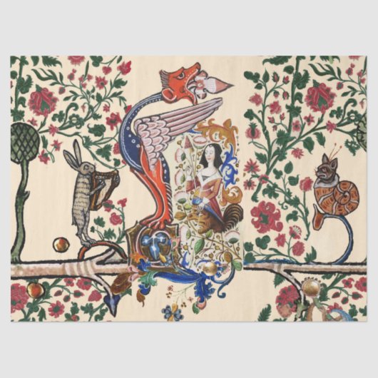 WEIRD MEDIEVAL BESTIAIRE draak en spinnen Harpy Tissuepapier (Voorkant)