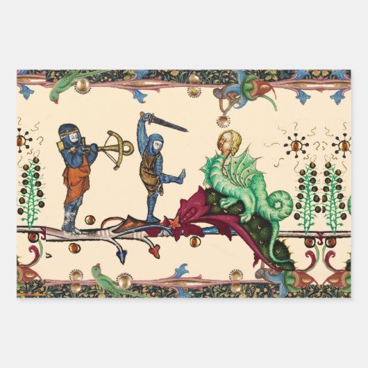 WEIRD MEDIEVAL BESTIARY, KNIGHTS AND HYBRID DRAGON INPAKPAPIER VEL (Voorkant)