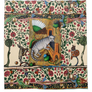 WEIRD MEDIEVAL BESTIARY MUSIC,CAT PLAYS ORGAN DOUCHEGORDIJN