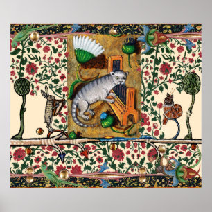 WEIRD MEDIEVAL BESTIARY MUSIC,CAT PLAYS ORGAN POSTER