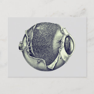 Weird Modern Vintage Eyeball Detail Drawing Gray Briefkaart
