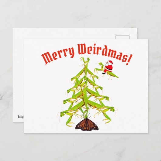 Weirdmas prier Mantis Tree Carte postale de Noël (Devant / Derrière)