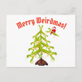 Weirdmas prier Mantis Tree Carte postale de Noël (Devant)