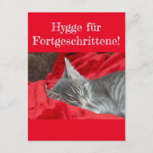 Weisheiten en Humor Hygge ... Katze schläft auf ro Briefkaart